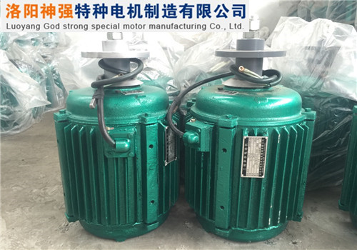 YLT90L-6-0.75冷卻塔電機(jī)